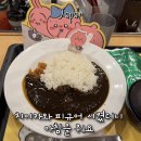 오사카 가성비 아침식사 맛집 규동 체인 요시노야 마츠야