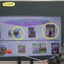 모자이크 이미지