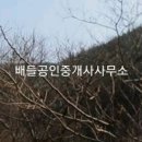 대전리목장 네이버블로그