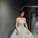 [올웨딩] 청주라피네 엔조최재훈 본식 드레스 셀렉 동행 후기 이미지