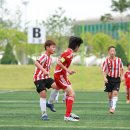 충주중앙초 이미지