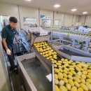 성주농협 APC 이미지