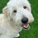 행복에코플러스 이미지