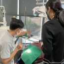 명성치과의원 이미지