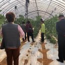 만수5동-10 네이버블로그