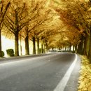 카페 어울림 이미지