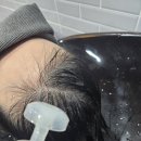 정선미용실 - 천안시 동남구 | 정선미용실