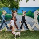 펫피랜드 이미지