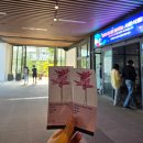 생각보다 핫했던 서울식물원 후기! 사진찍기 좋은 곳 추천~