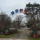 공주계곡캠핑 | [⛺️공주캠핑] 대전 근교 캠핑장 추천 마곡사 근처 벚꽃캠핑 '공주계곡이레캠핑장' C3