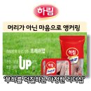 코리아에너지㈜ | 리더십교육 부하를 덕질하라 하림 팀장 머리가 아닌 마음으로 앵커링