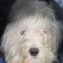 은천동-22 이미지