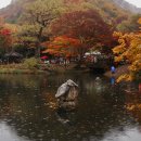 백양사(순천) Daum카페