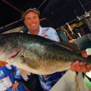 마스터스윔 이미지