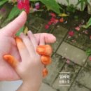 엄미길 | 경기광주 남한산성 맛집 은고개 손칼국수 율봄식물원 근처 식당 솔직후기