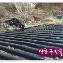 아주1차 이미지