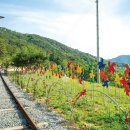 향-녹음의 계절 이미지