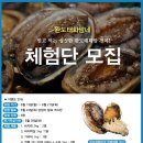 [완도태화맘] 완도산 참전복과 싱싱한 수산물 무료 체험단 모집 (6.10~6.21) 이미지