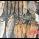 어부몰 네이버블로그