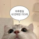특수전사령부영외식당 | [곰신 생존기] 2야수교 (연락/일정/수료식/자대배치 등)