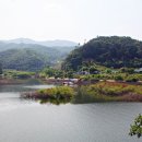 식파정 이미지