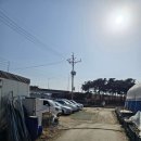 영일농장 | [경기/김포시]김포 딸기따기 체험 추천 '영일딸기농장'