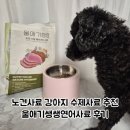 애기 | 노견사료 강아지수제사료 울애기쌩쌩연어사료 후기