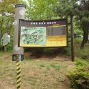주산산림욕장 Daum카페