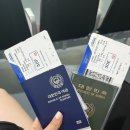 송화여행사
