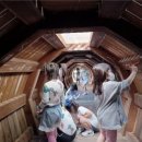 큰나무식당 | 대전 보문산 큰나무 전망대 다녀온 후기· 중식당 라이라이에서 점심