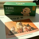 닥터온펫
