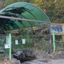 안용주골 이미지