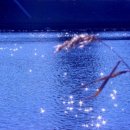 흐르는물 이미지