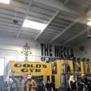 Gold PT GYM 네이버블로그