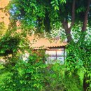 비에이치씨신음점 | 거의 1년만에 돌아온 블로거(그동안의 일상 공유 feat. 맛집, 취직, 두바이,걸스파티) 5월~8월 zip.