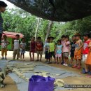 청남어린이집 이미지