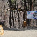 태백콜택시 이미지