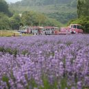 동해시-63 이미지