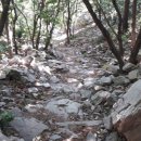 코끼리칼국수 이미지