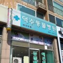 덕수동물병원 이미지
