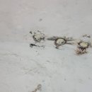 사천한보빌라 이미지