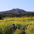 꽃이있는풍경 이미지