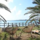 제주 자고가 이미지