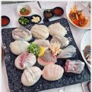 영덕회맛집