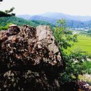 계곡사랑 이미지