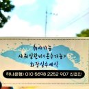 경상북도 생금비리