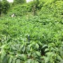 우리소2농장 이미지