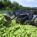 간동우체국 이미지