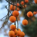 너른마당 이미지