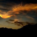 운수동농장 이미지